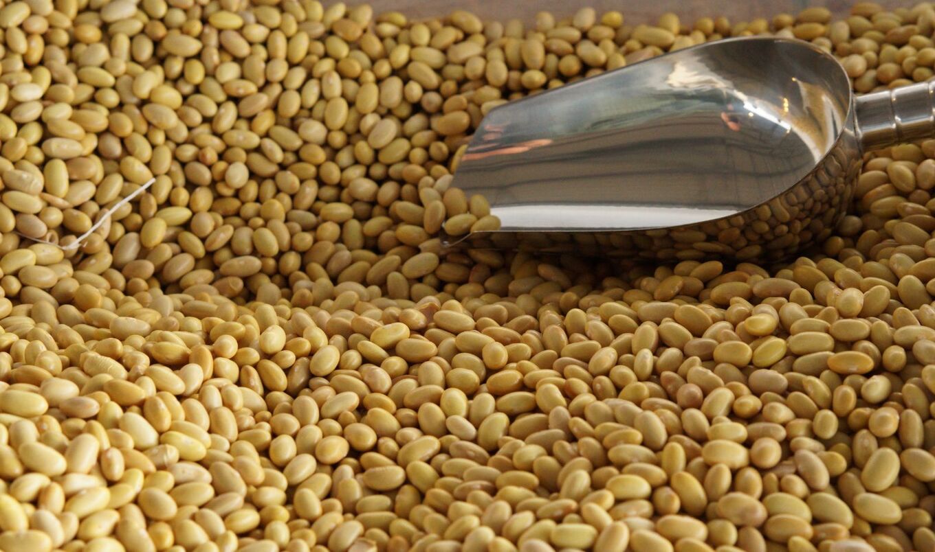 bulk beans with scoop